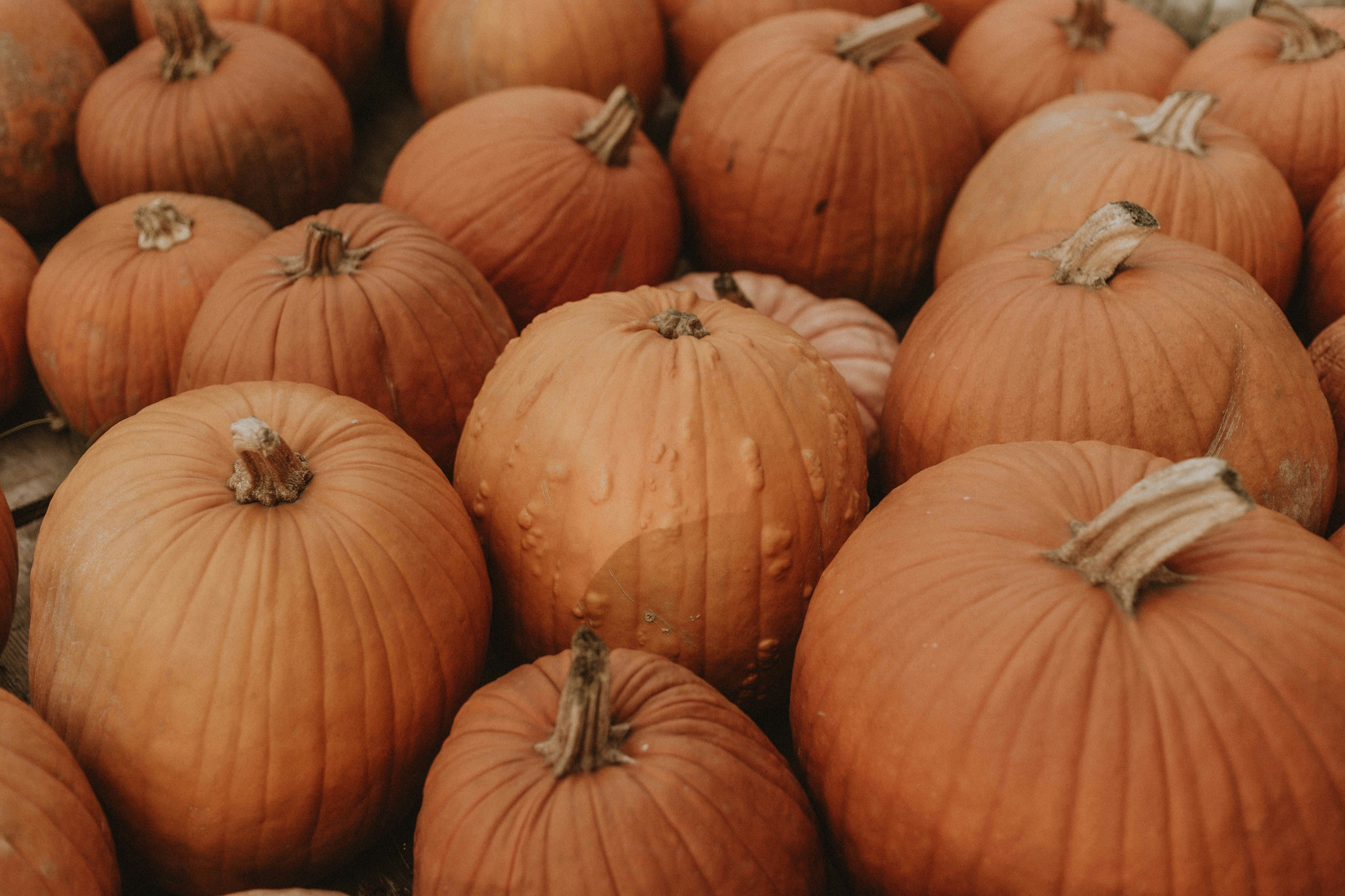 Fall Porch Styling Packages