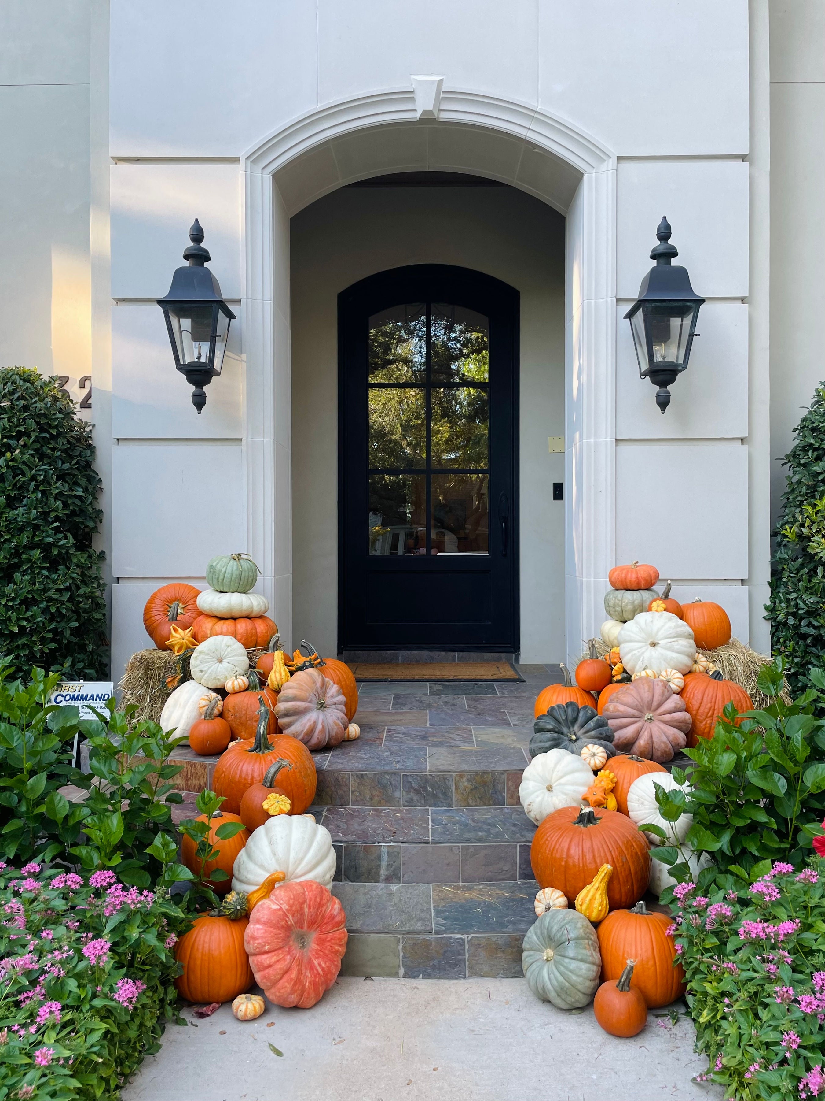 The Harvest Luxe