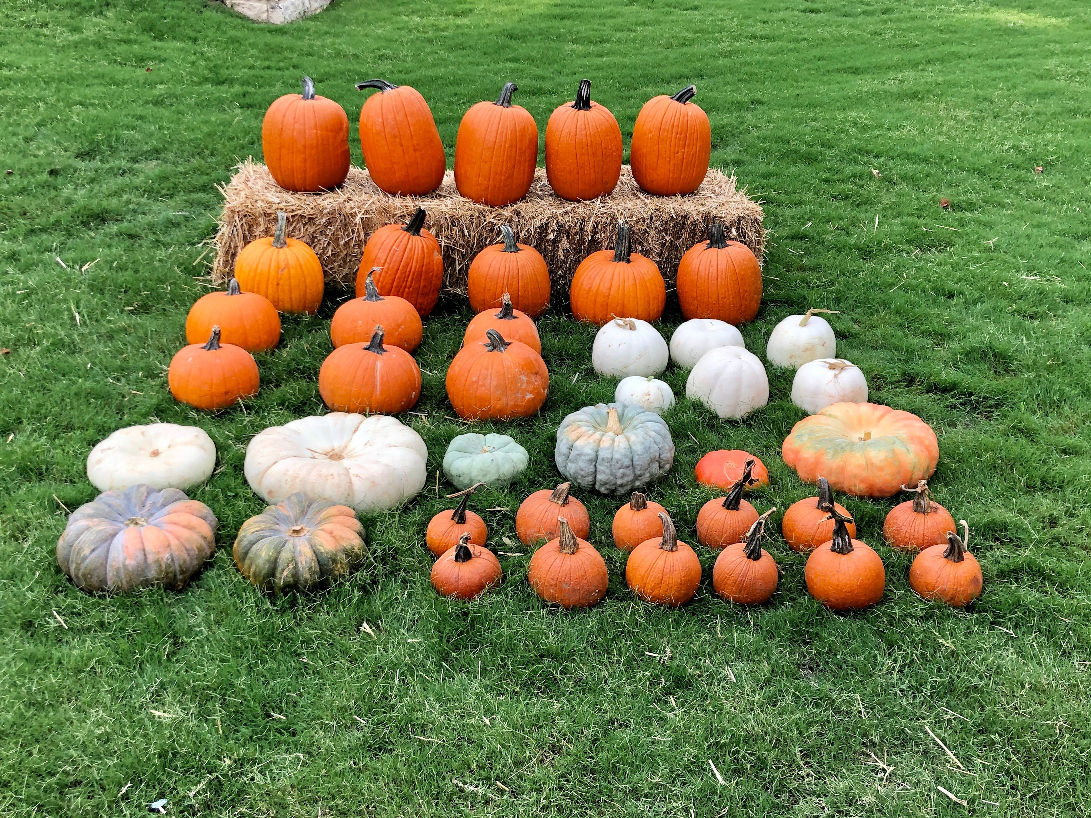 The Autumn Classic