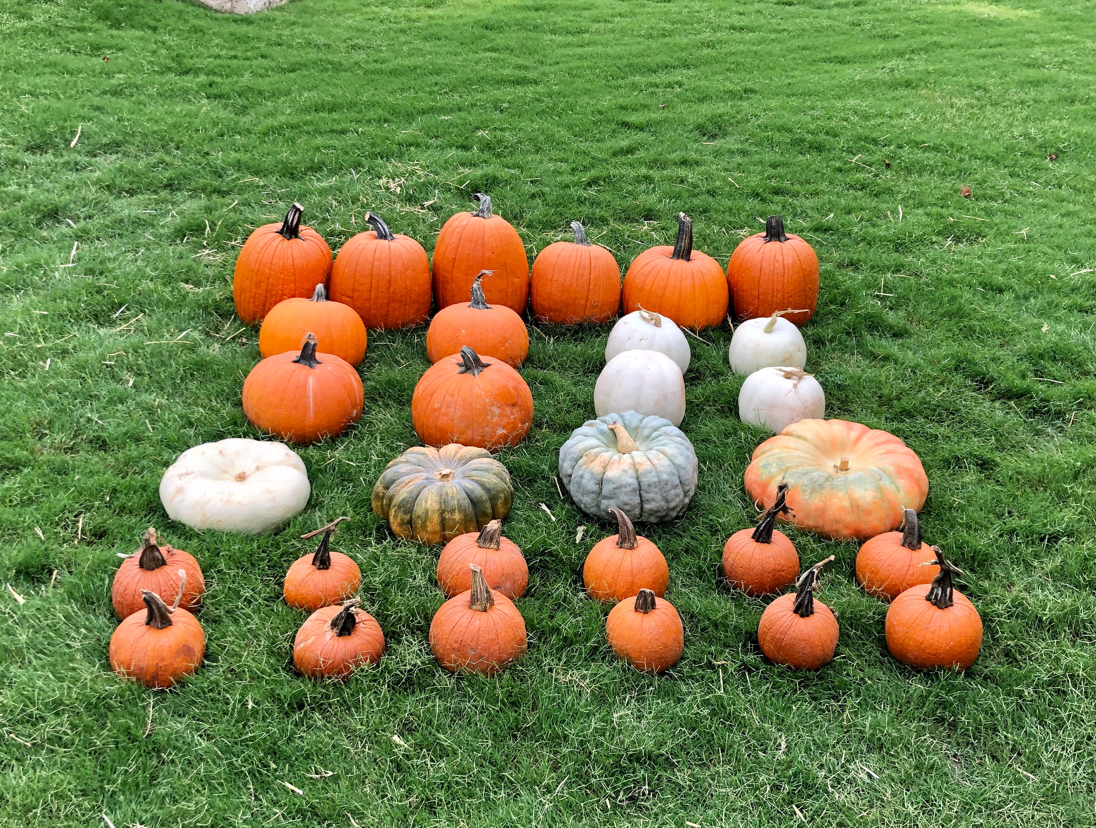 The Seasonal Edit